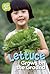 Lettuce Grows on the Ground (What Grows in My Garden)