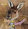 Joey to Kangaroo