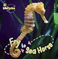 Fry to Seahorse