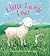 Little Lamb Lost