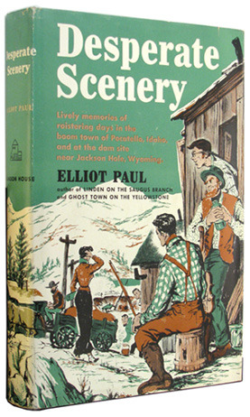 Desperate Scenery