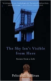 The Sky Isn't Visible from Here (Kindle Edition)
