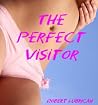 The Perfect Visitor
