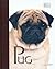 The Pug - Best of Breed