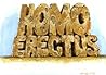 Homo Erectus