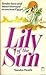 Lily of the Sun