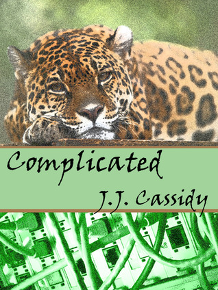 Complicated (ebook)