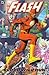 The Flash, Vol. 2 by Geoff Johns