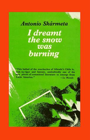 I Dreamt the Snow was Burning