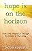 Hope Is On The Horizon by Jacob Kodesh