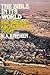 The Bible in its world: The Bible & archaeology today