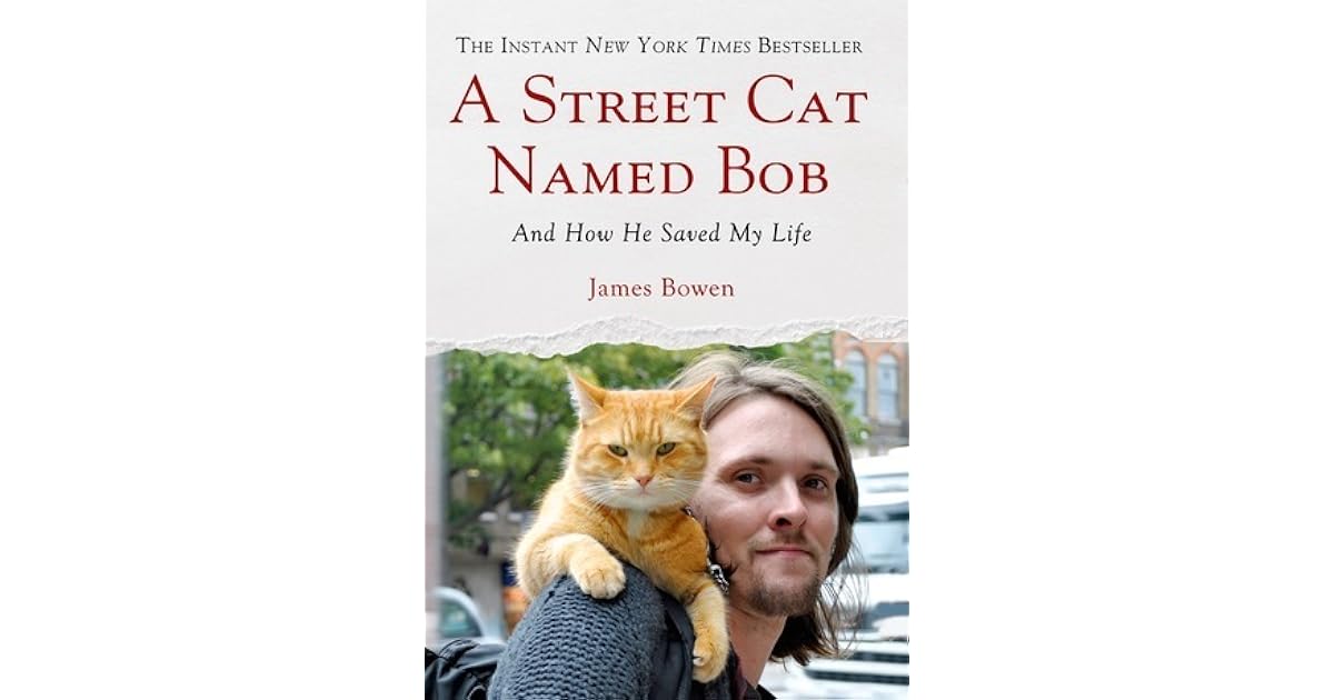 A Street Cat Named Bob: And How He Saved My Life by James Bowen