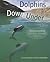 Dolphins Down Under: Understanding the New Zealand Dolphin