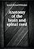 Anatomy of the Brain and Spinal Cord