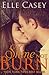 Shine Not Burn (Shine Not Burn, #1)