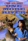 One More River (Paperback)
