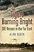 Tigers Burning Bright by Alan Ogden