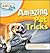 Amazing Pet Tricks (ASPCA Kids, 10)