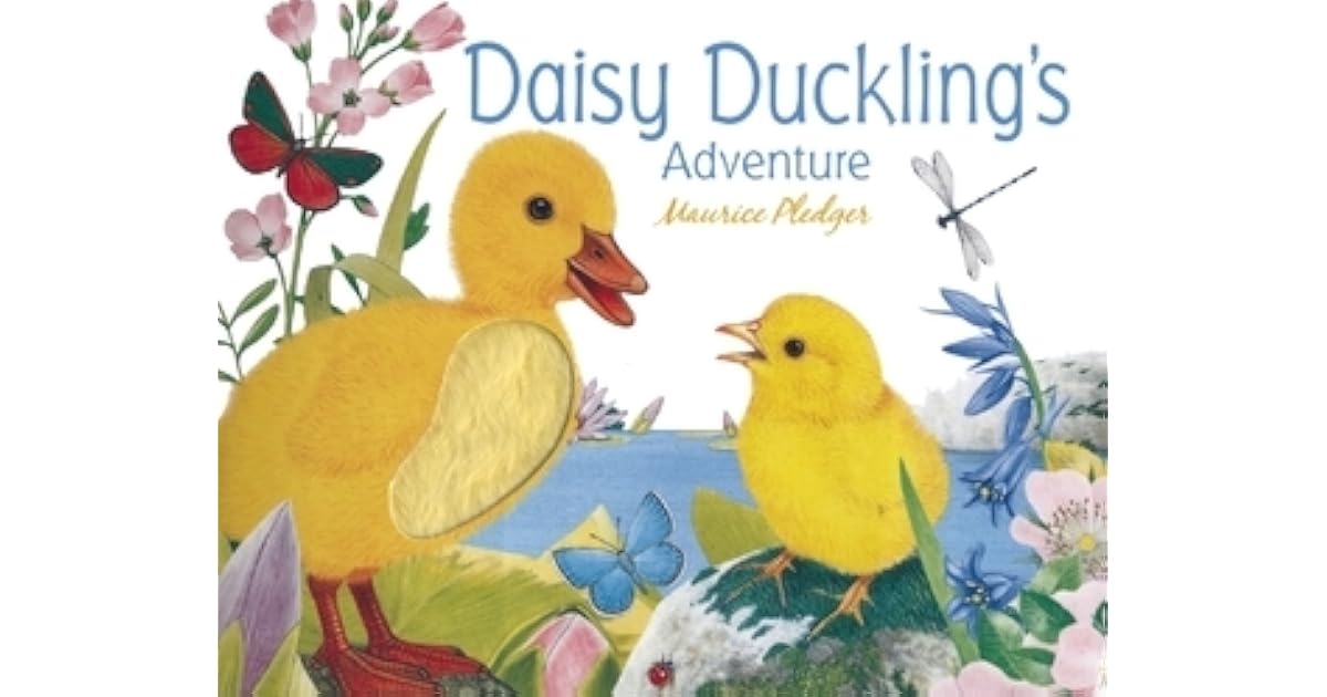 Daisy Duckling's Adventure by Maurice Pledger