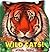 Wild Cats! (Know-It-Alls)