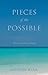Pieces of the Possible: How to commit to change