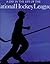 A Day in the Life of the National Hockey League