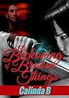 The Beckoning of Broken Things by Calinda B. The Beckoning of Broken Things by Calinda B.