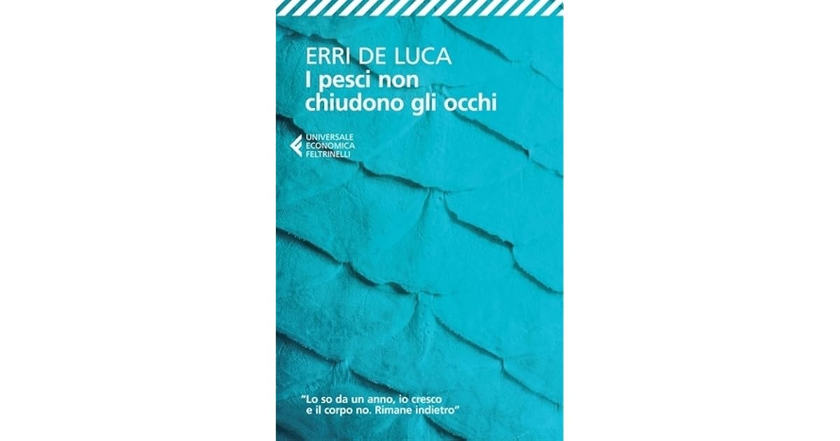I Pesci Non Chiudono Gli Occhi Frasi