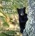 Babies of the Wild by Carl R. Sams II