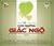 Con Đường Giác Ngộ by Thích Thông Phương