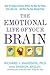 The Emotional Life of Your Brain