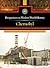 Perspectives on Modern World History: Chernobyl
