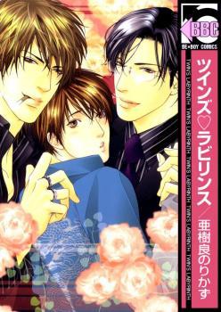 Twin's Labyrinth (Paperback)