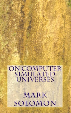 On Computer Simulated Universes (Paperback)