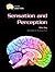 Sensation And Perception (Gray Matter)