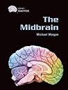 The Midbrain
