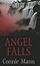 Angel Falls (Thorndike Press Large Print Clean Reads)