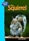 The Squirrel (Nature Walk)