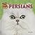 Persians (Cats Are Cool)