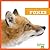 Foxes (My First Animal Library)