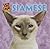 Siamese (Cats Are Cool)