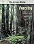 Forestry by Catherine Raven