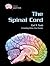 The Spinal Cord (Gray Matter)