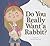 Do You Really Want a Rabbit?