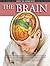The Brain by Adolfo Cassan