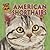 American Shorthairs (Cats Are Cool)