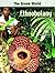 Ethnobotany by Kim J. Young