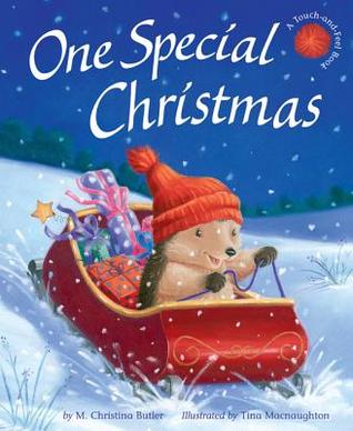 One Special Christmas (Little Hedgehog #7)