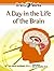 A Day in the Life of the Brain