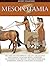 Mesopotamia by Eva Bargallo i Chaves